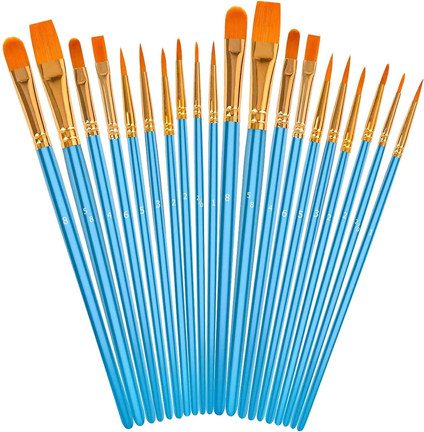 Paint Brushes (20-Pack)